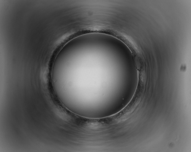 X0000103410540200809121307