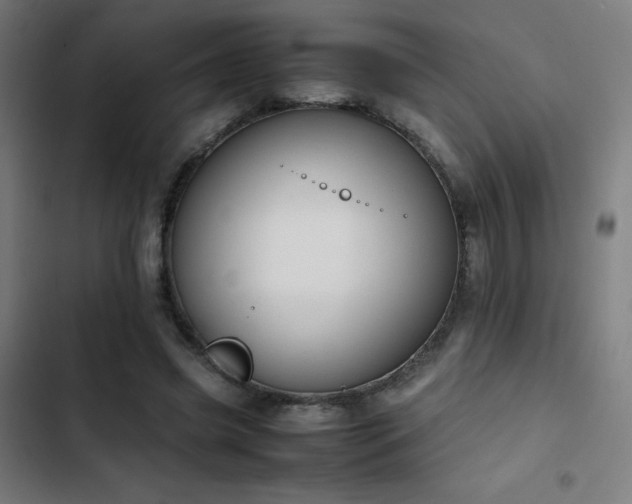 X0000103410541200809121307