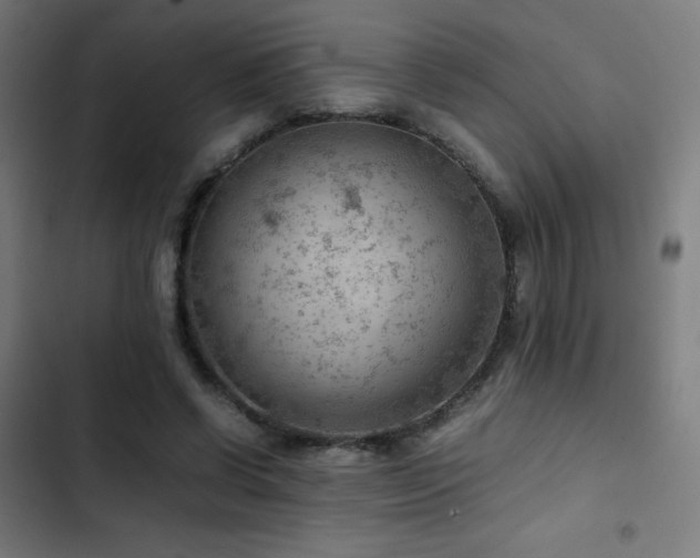 X0000103410542200809121307