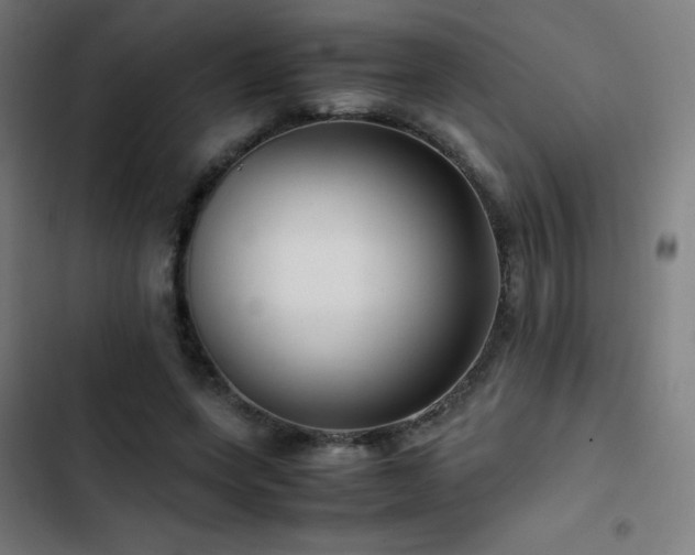 X0000103410543200809121307