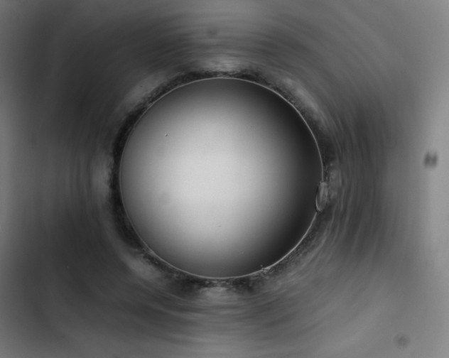 X0000103410544200809121307