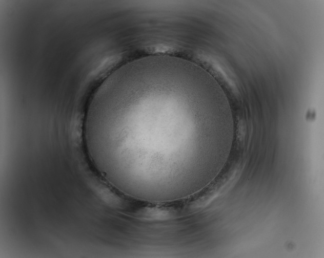 X0000103410545200809121307