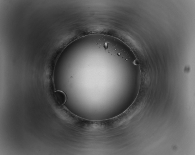 X0000103410546200809121307