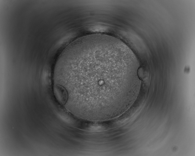 X0000103410547200809121307