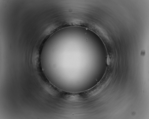 X0000103410548200809121307