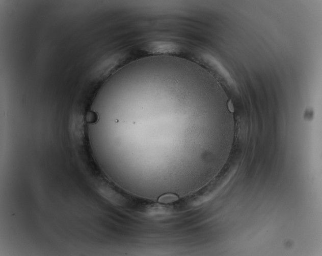 X0000103410549200809121307