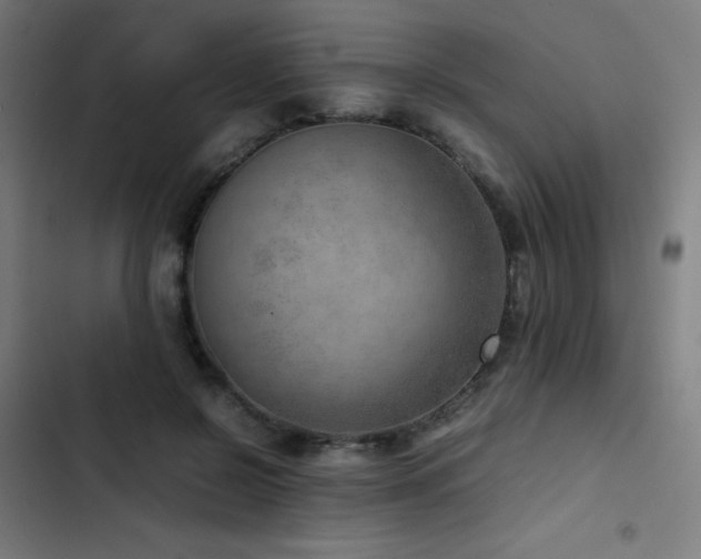 X0000103410550200809121307