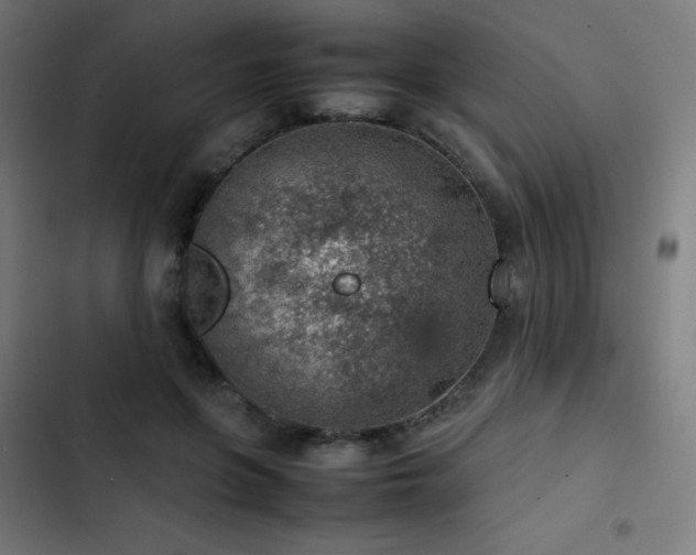 X0000103410551200809121307