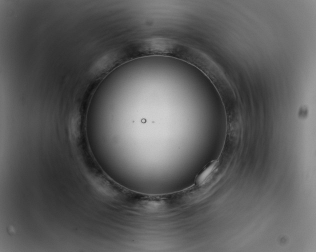 X0000103410552200809121307