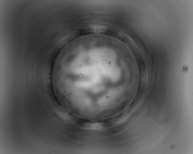 X0000103410553200809121308