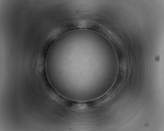 X0000103410554200809121308