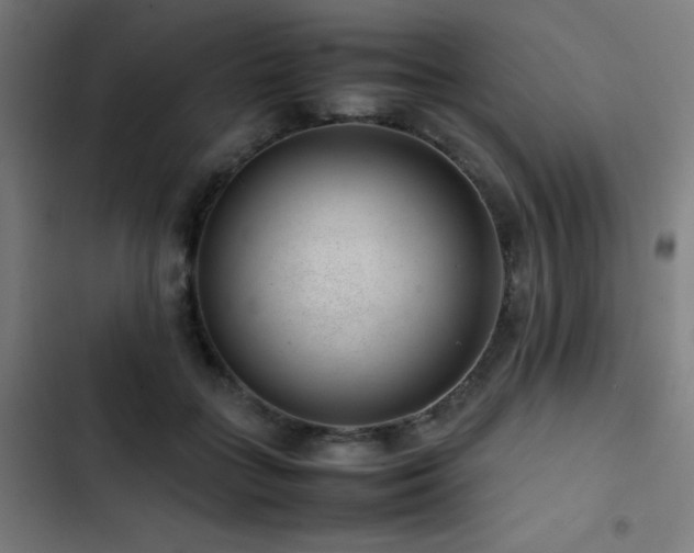 X0000103410555200809121308