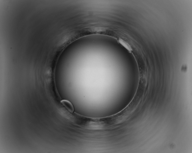 X0000103410556200809121308