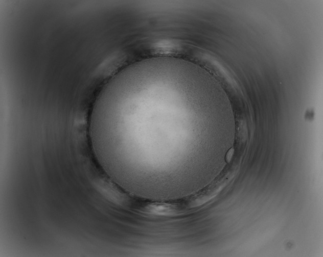 X0000103410557200809121308