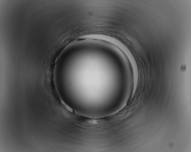 X0000103410558200809121308