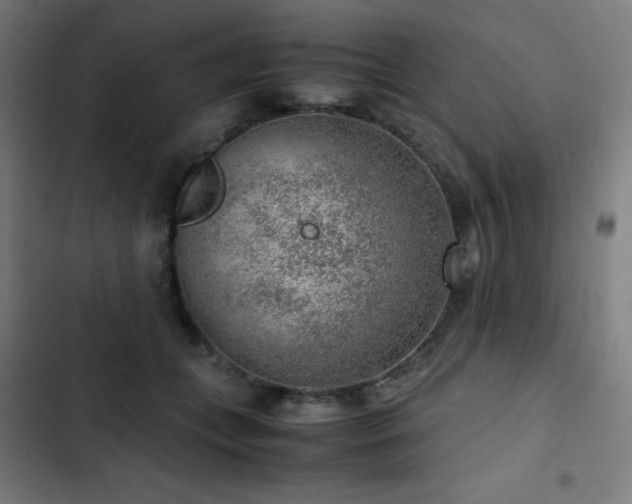 X0000103410559200809121308