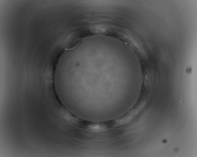 X0000103410561200809121308