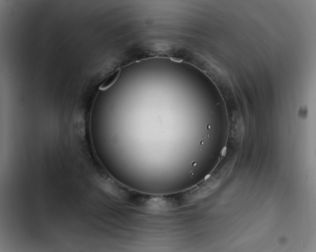 X0000103410562200809121308