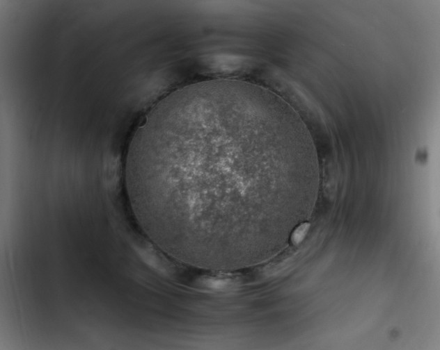 X0000103410563200809121308