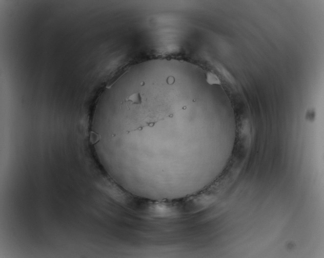 X0000103410565200809121308