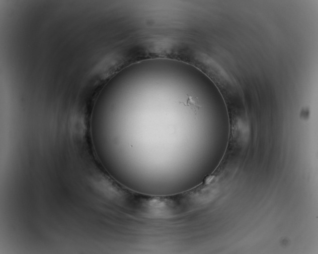 X0000103410566200809121308