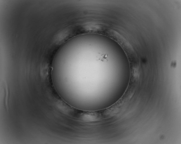 X0000103410567200809121308