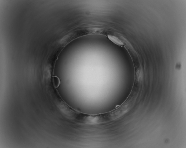 X0000103410570200809121308