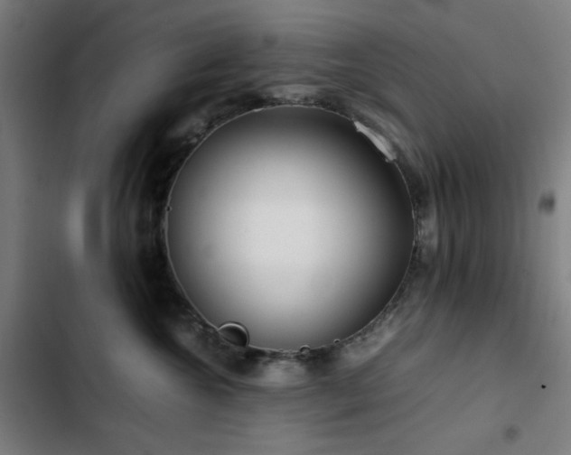 X0000103410572200809121308