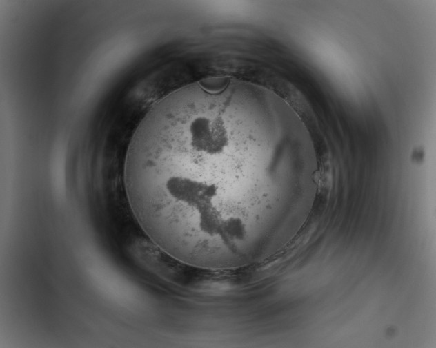 X0000103410573200809121308