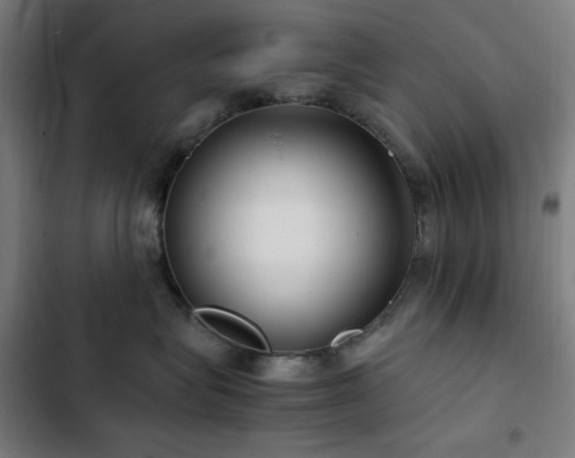 X0000103410575200809121308