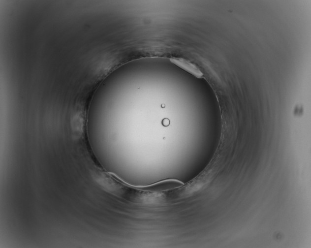 X0000103410576200809121308