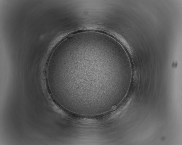 X0000103410577200809121307