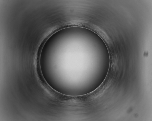 X0000103410578200809121307