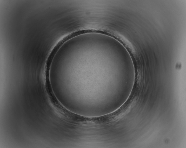 X0000103410580200809121307