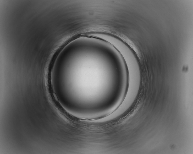 X0000103410581200809121307