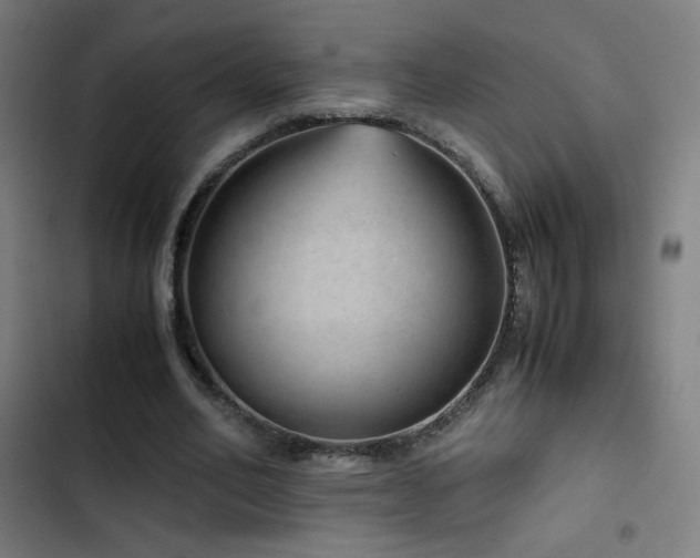 X0000103410582200809121307