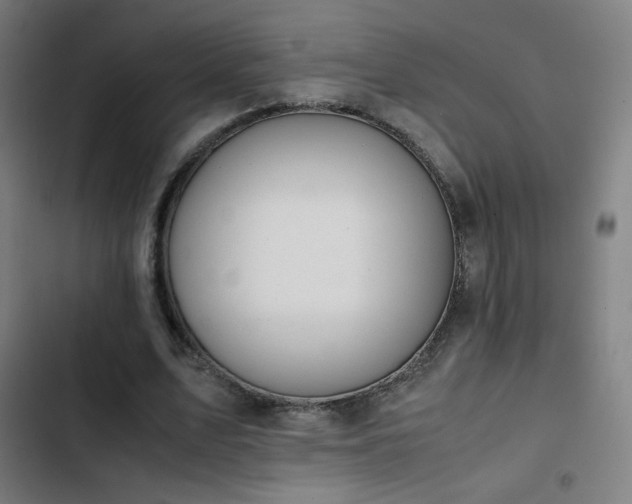 X0000103410583200809121307