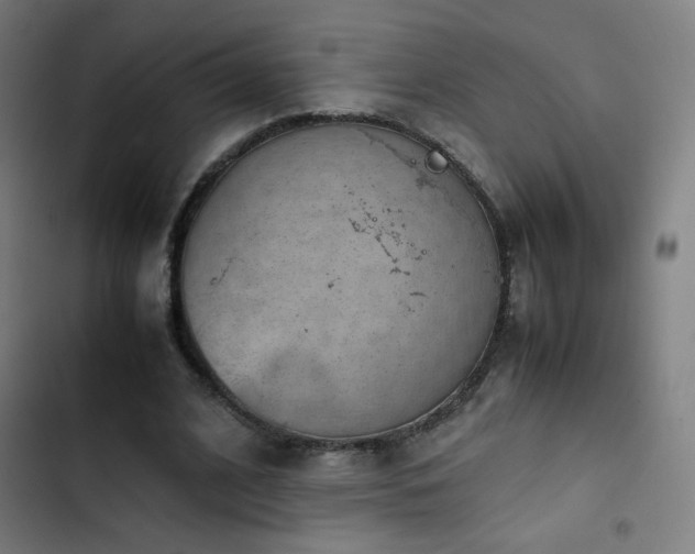 X0000103410584200809121307