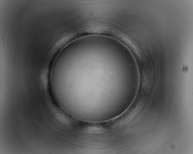 X0000103410586200809121307