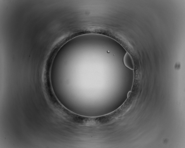 X0000103410587200809121307