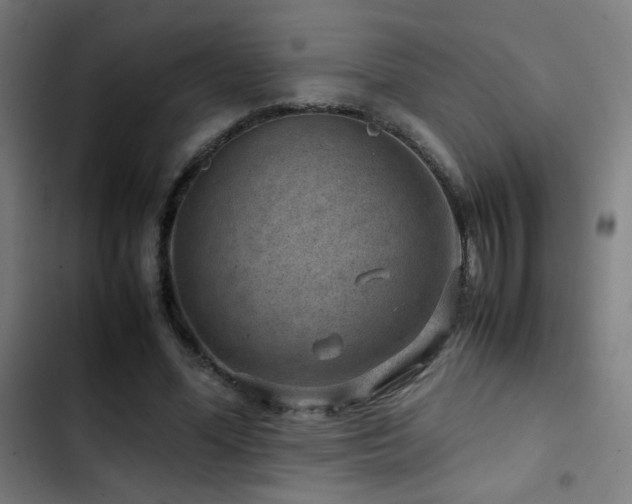 X0000103410588200809121307