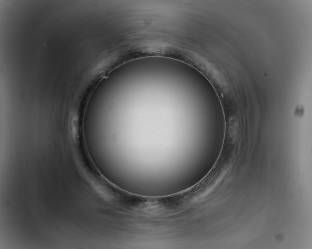 X0000103410589200809121307