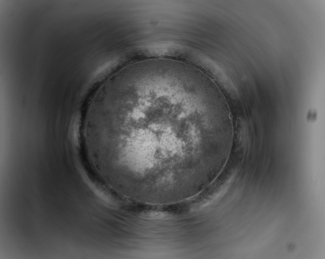 X0000103410590200809121307