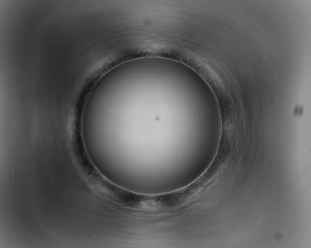 X0000103410591200809121307