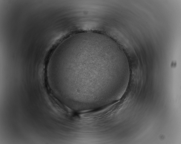 X0000103410592200809121307