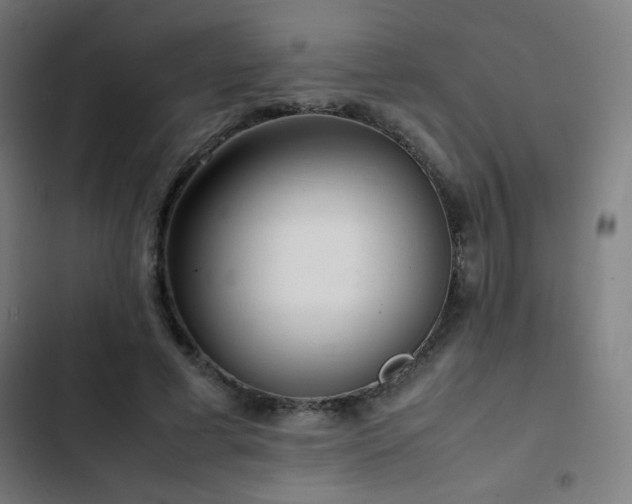 X0000103410593200809121307