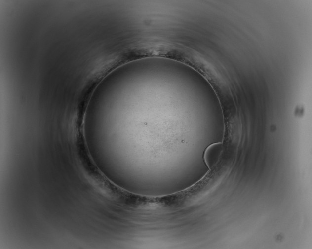 X0000103410594200809121307