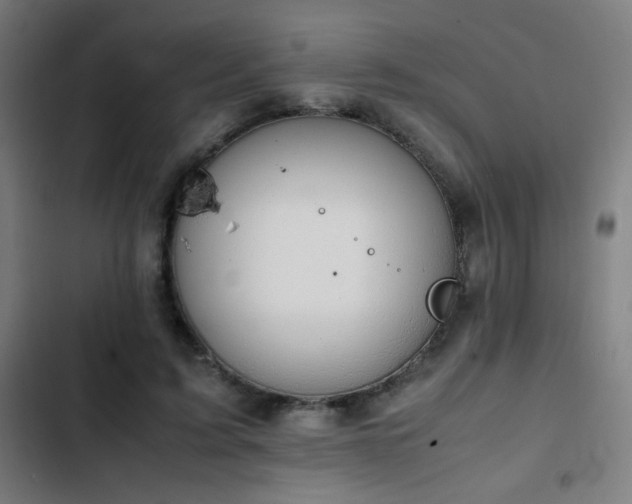 X0000103410595200809121307