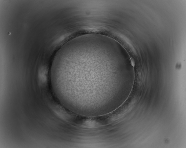 X0000103410596200809121307