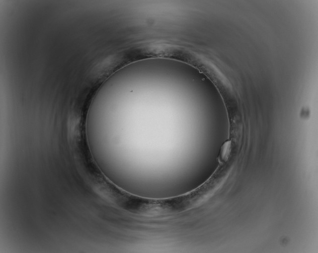 X0000103410597200809121307